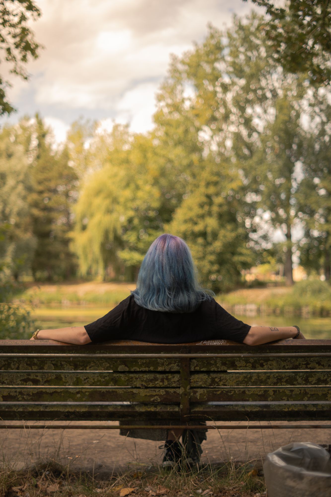 Silhouette de dos sur un banc face à un étang, bras étendus sur le dossier, parc en fin d'été